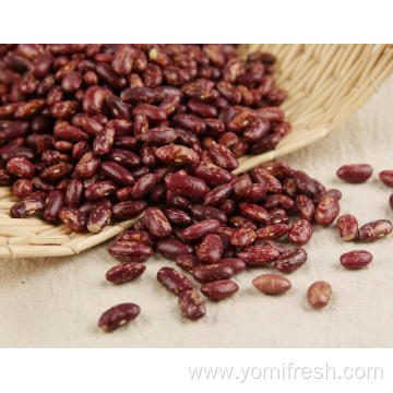 Kidney Beans Health Benefits